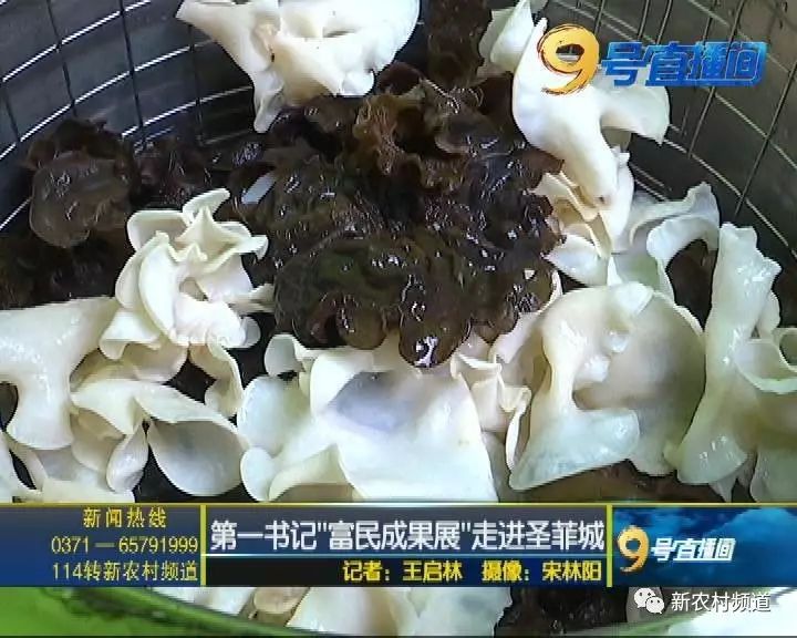 1505571605563117.jpg 8.jpg