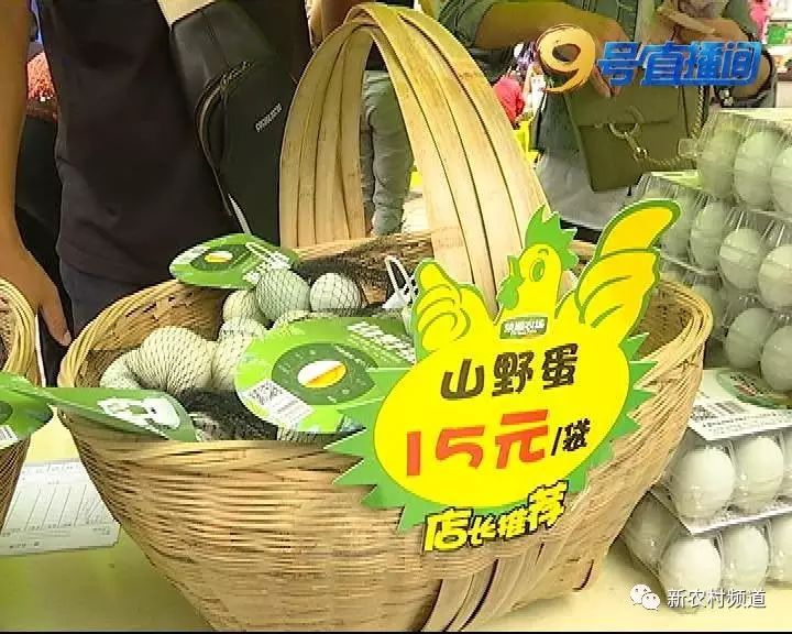 1505571621213109.jpg 9.jpg