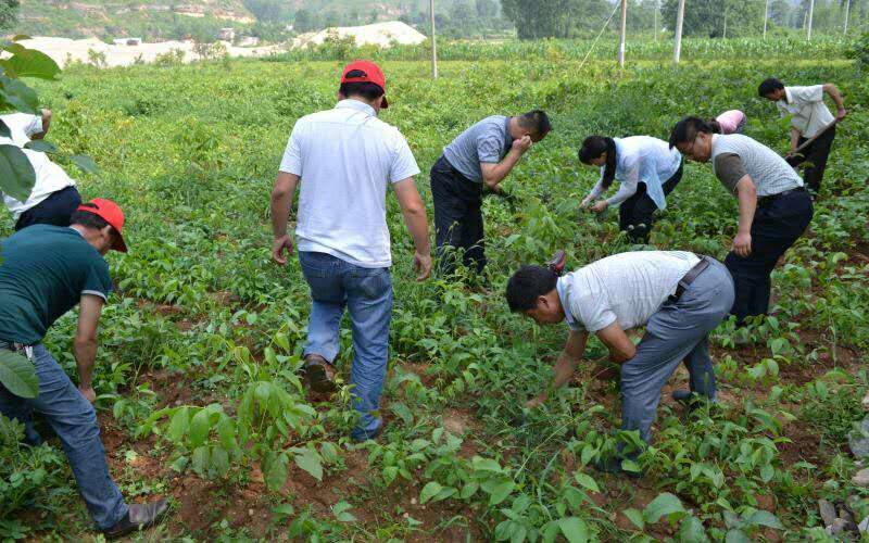 1506419852454787.jpg 微信图片_20170926175719.jpg