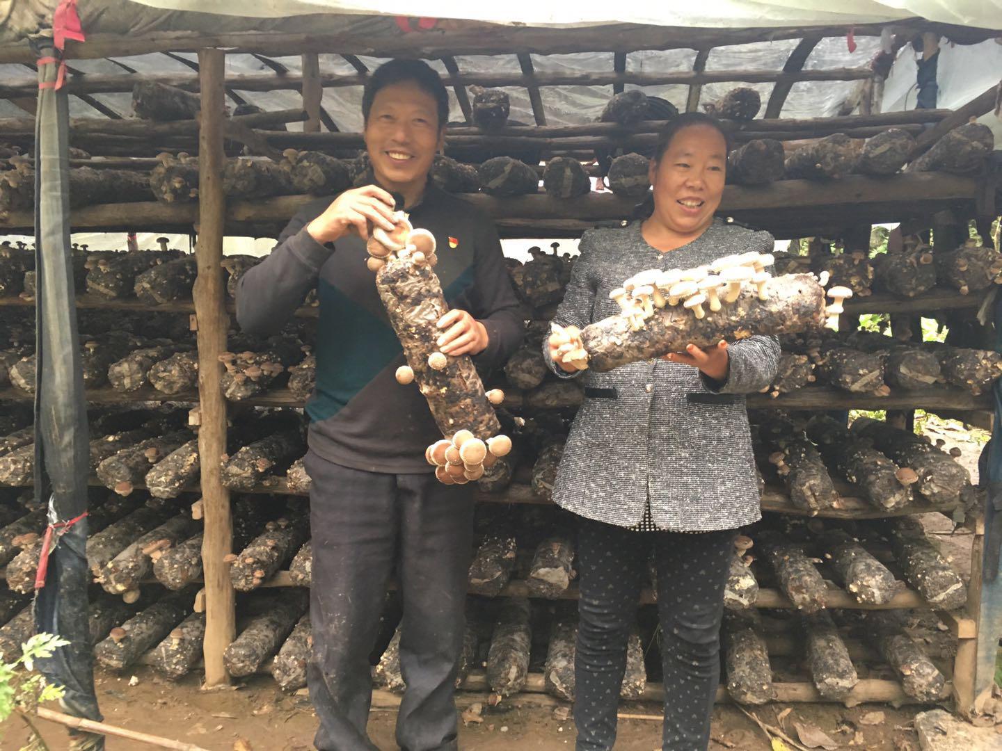 1508226118845292.jpg 图片7.jpg