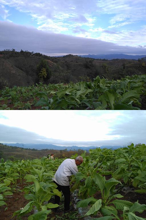 1508226145822383.jpg 图片9.jpg