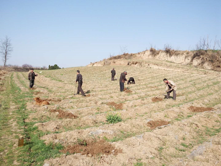 1521449957484662.jpg 1.jpg