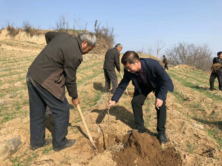 1521449972676985.jpg 4.jpg